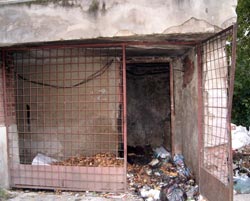 Boschetar ars de viu într-un buncăr de gunoaie din Suceava