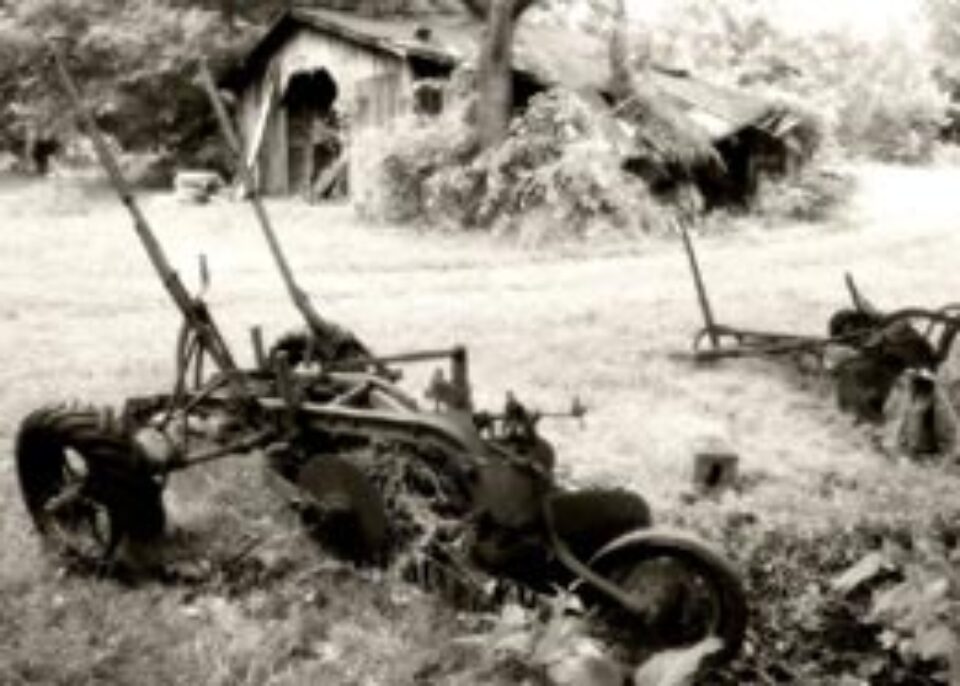 Din presa de altadata