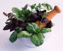 Tratamentul pentru gastrite