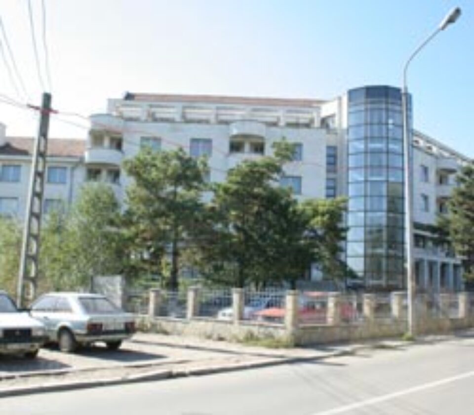 „Un muzeu de artă la Suceava este un elogiu pe care clipa prezentă l-ar aduce spiritualității acestui spațiu trecând la oficializarea valorii”