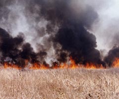 Din presa de altadata