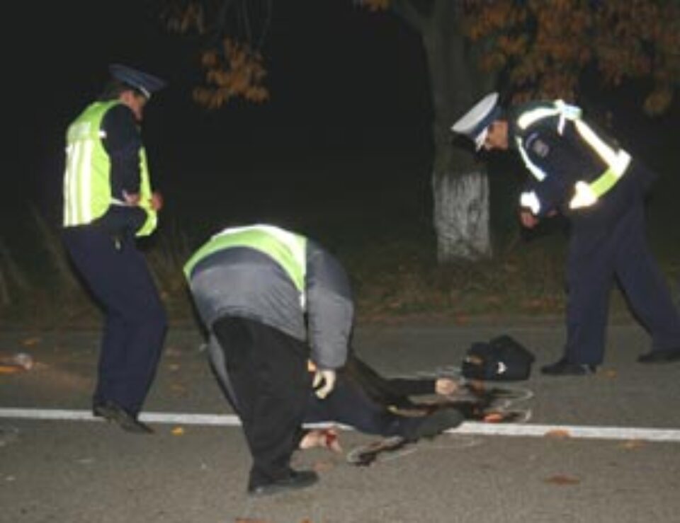 O măicuță a murit și alta este în comă din cauza unui șofer băut și inconștient