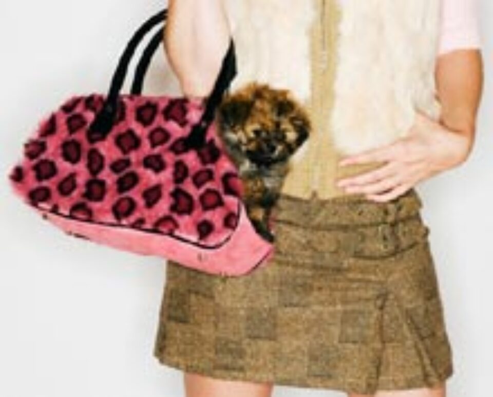 Toamna poșetelor Toamna poșetelor