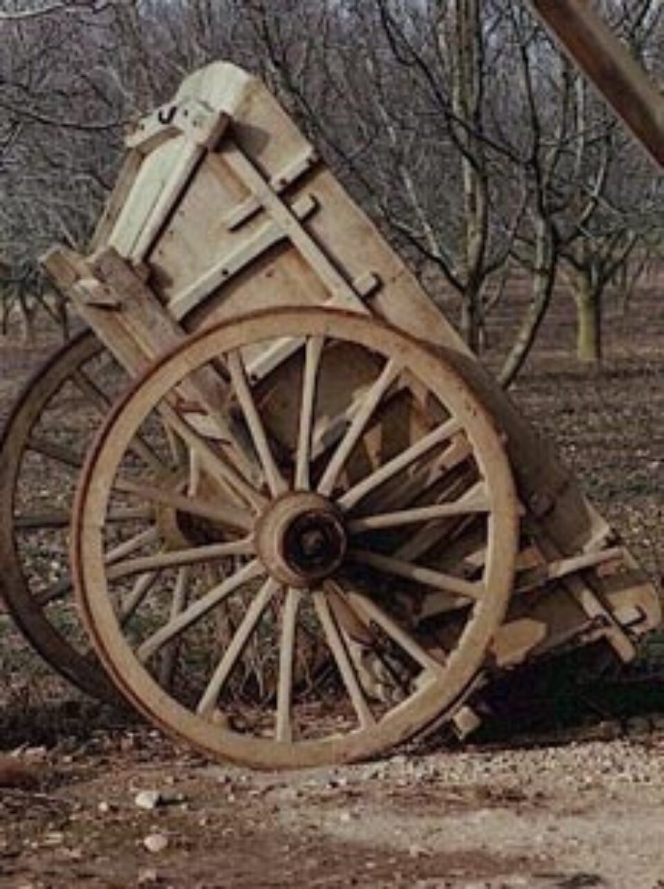 Din presa de altadata Din presa de altadata