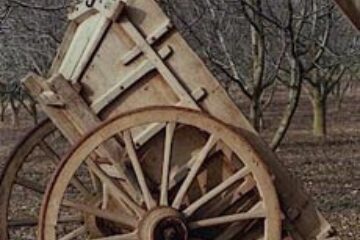 Din presa de altadata