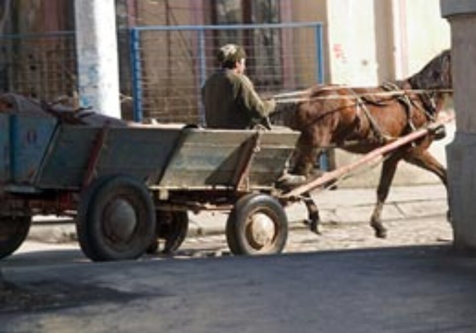 Circulația căruțelor în Suceava, restricționată din 15 noiembrie