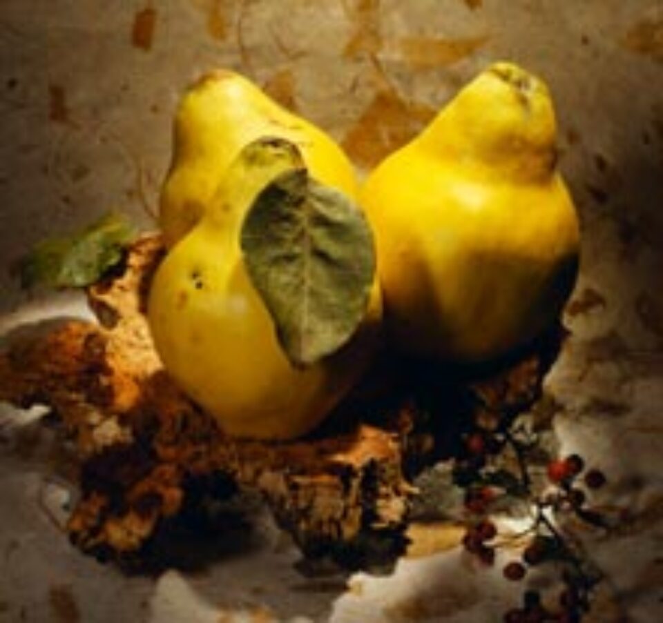 Gutuia, un leac miraculos