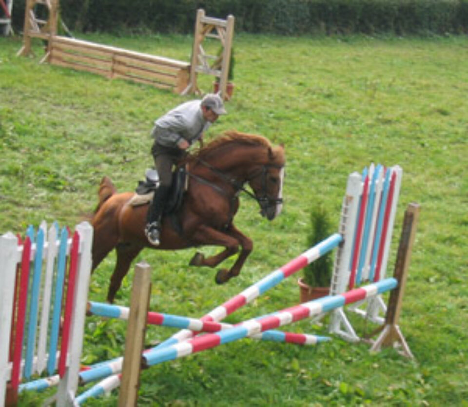 Antrenamentul cailor arabi