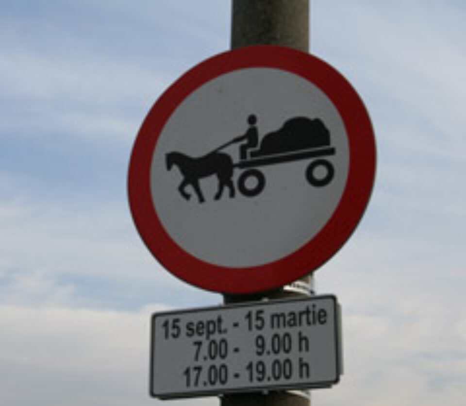 Căruțașii, „școliți” pentru a circula corect prin Suceava Căruțașii, „școliți” pentru a circula corect prin Suceava