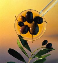 Din măsline ar putea fi obținut un medicament eficient pentru inimă