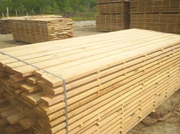 Din presa de altadata