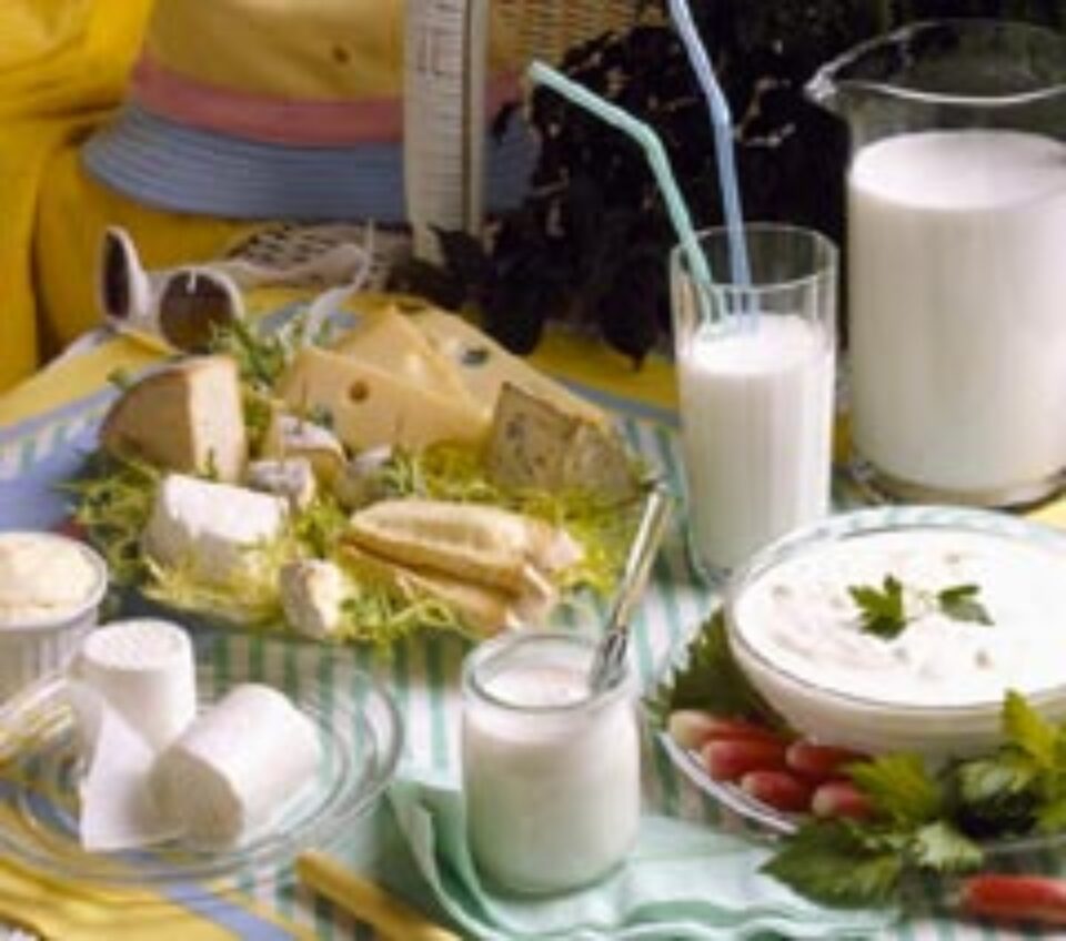 Produsele lactate: cum le selectezi, le conservi și le consumi? Produsele lactate: cum le selectezi, le conservi și le consumi?