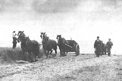 Din presa de altadata