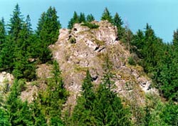 Din presa de altadata