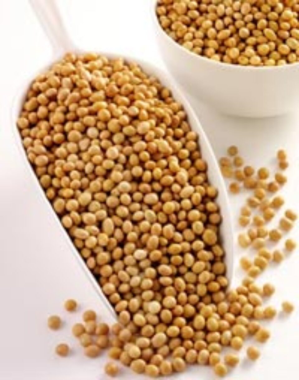 Leacuri din natură pentru circulație deficitară și boli de inimă