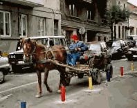 Căutătorii de fier vechi ignoră regulile de circulație Căutătorii de fier vechi ignoră regulile de circulație