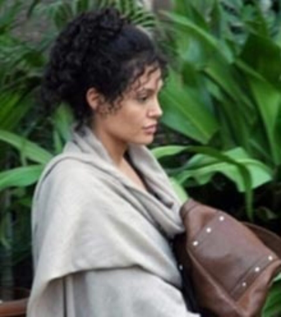 Gărzile de corp ale Angelinei Jolie, arestate după o altercație în India