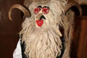 „Dracul alb” de la Cajvana