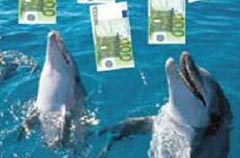 Intermediarii jocului piramidal Delphin, sancționați de instanță