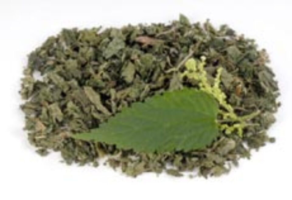 Urzica și proprietățile ei curative