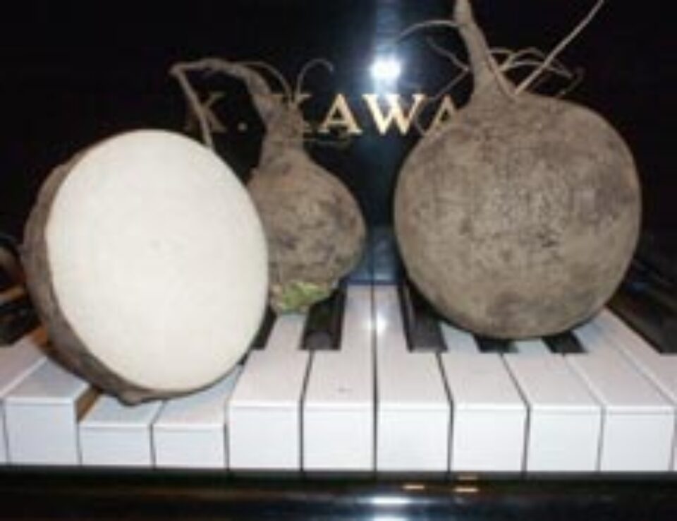 Ridichea neagră ajută în eliminarea pietrelor de la fiere