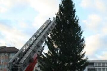 Brad de Crăciun de 26 de metri, în centrul Sucevei