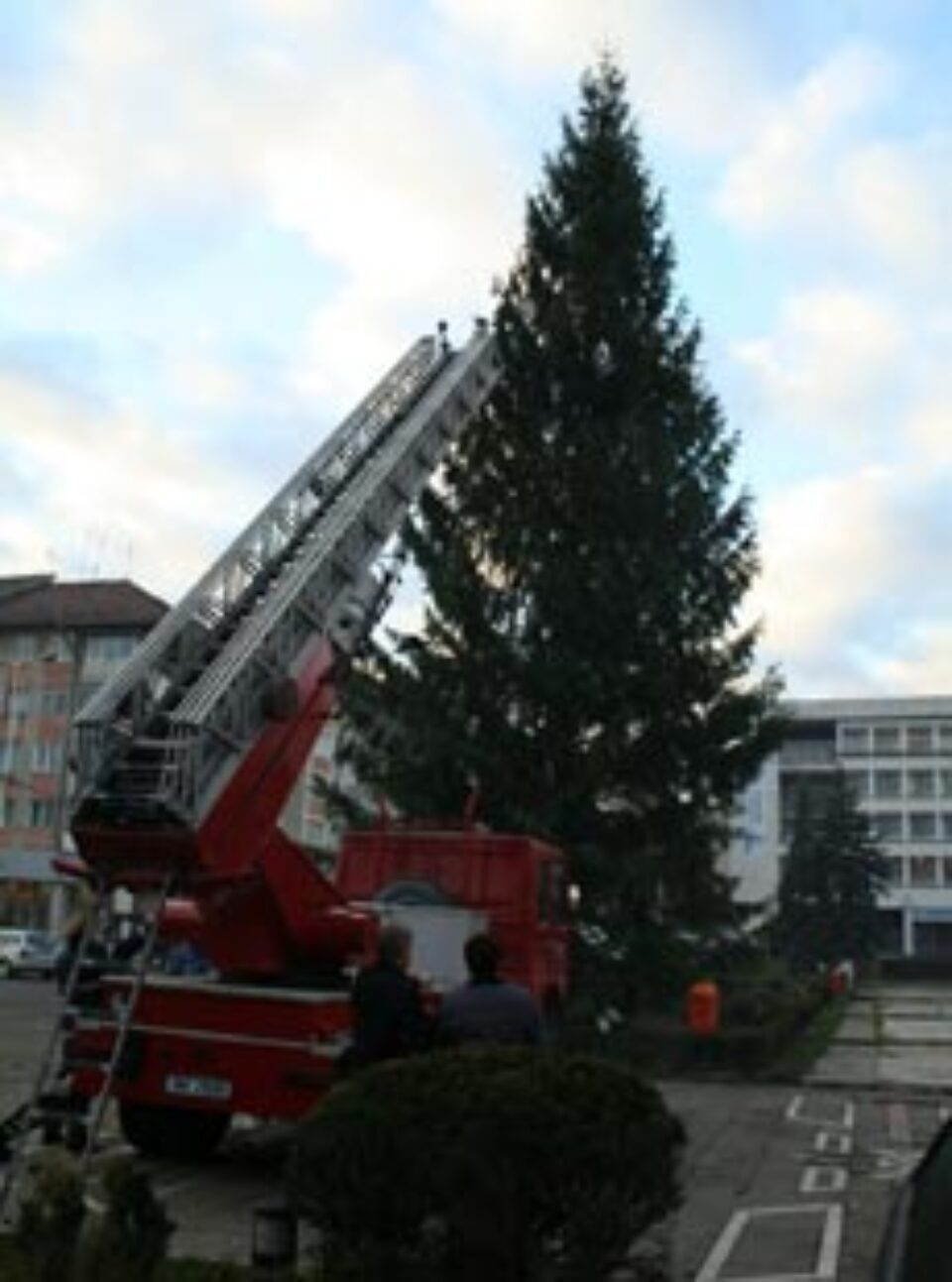 Brad de Crăciun de 26 de metri, în centrul Sucevei