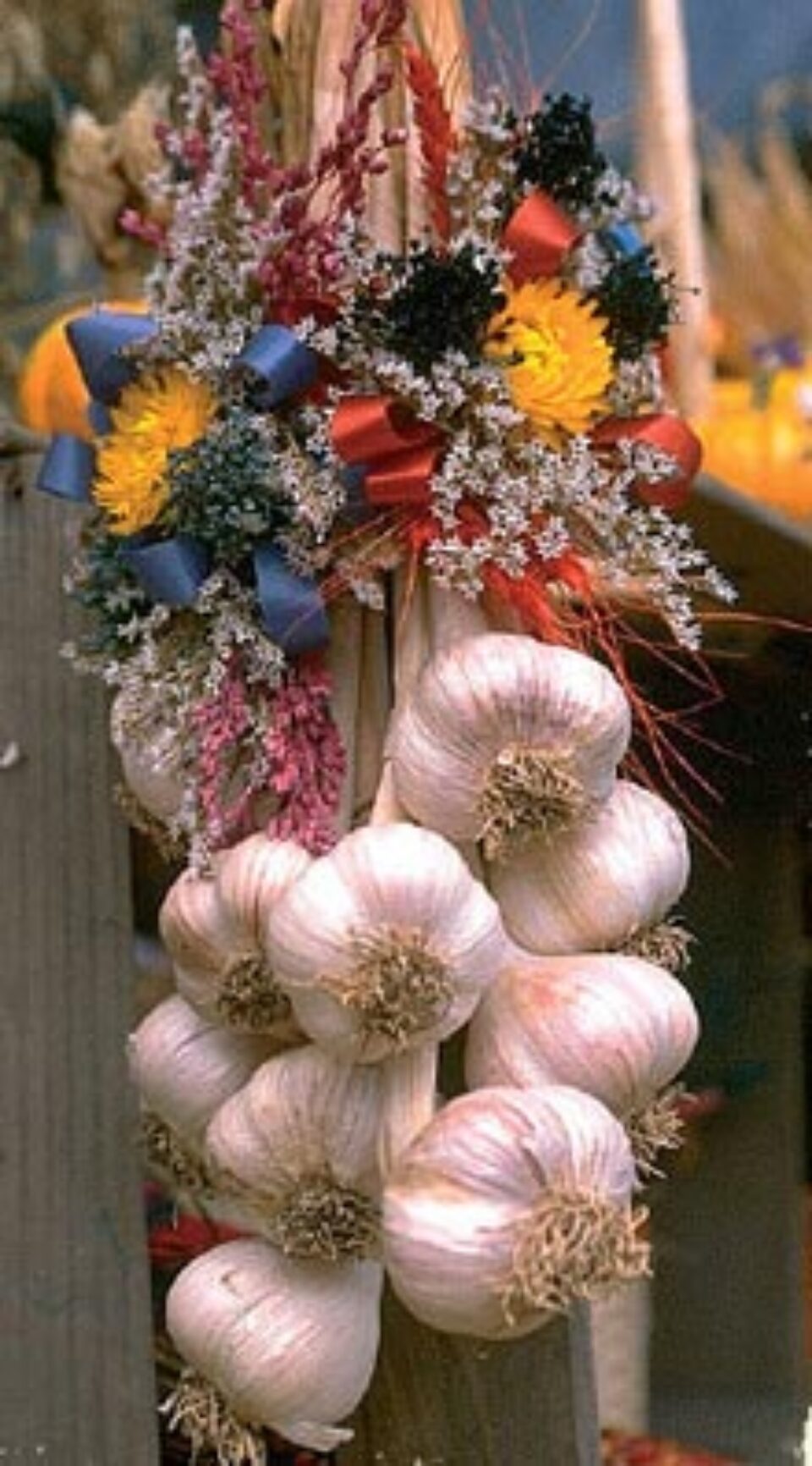 Noaptea magică Noaptea magică