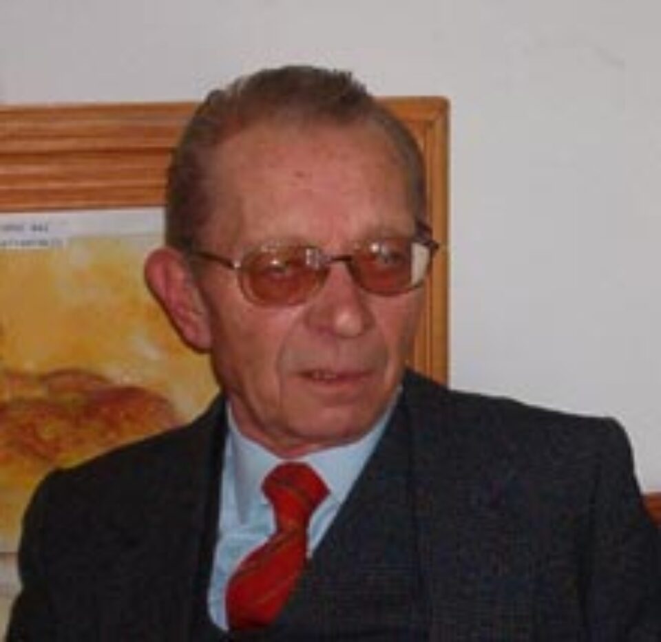 Troienele Bucovinei - George L. Ostafi Troienele Bucovinei - George L. Ostafi