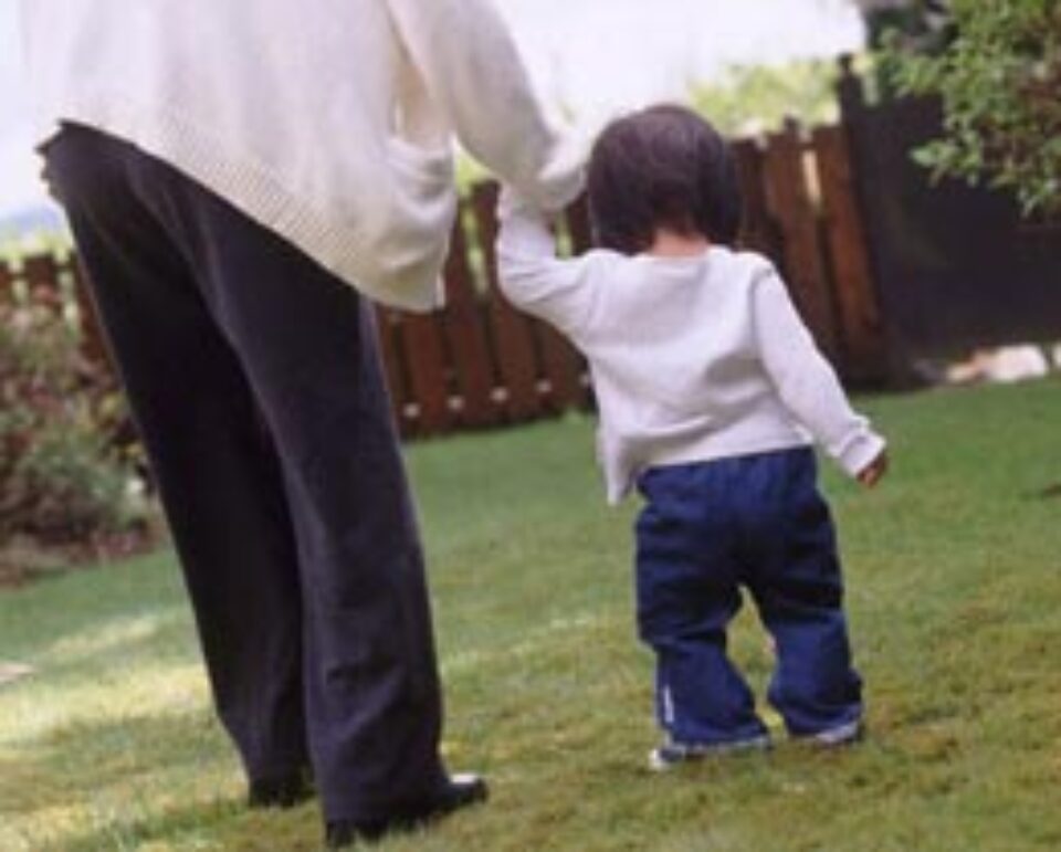 Coadă la adopții Coadă la adopții