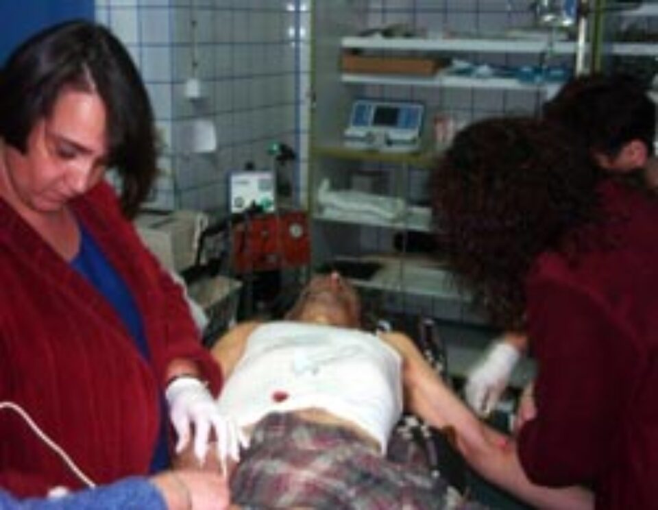 Spulberați de tren la un pasaj de trecere a căii ferate