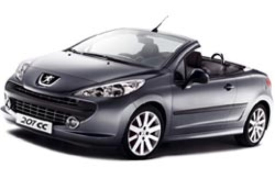 O nouă specie de felină