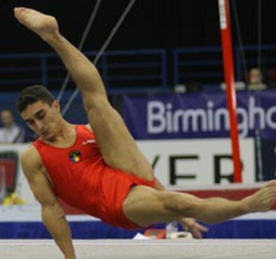 Drăgulescu, singurul român care va participa la Cupa Mondială Drăgulescu, singurul român care va participa la Cupa Mondială