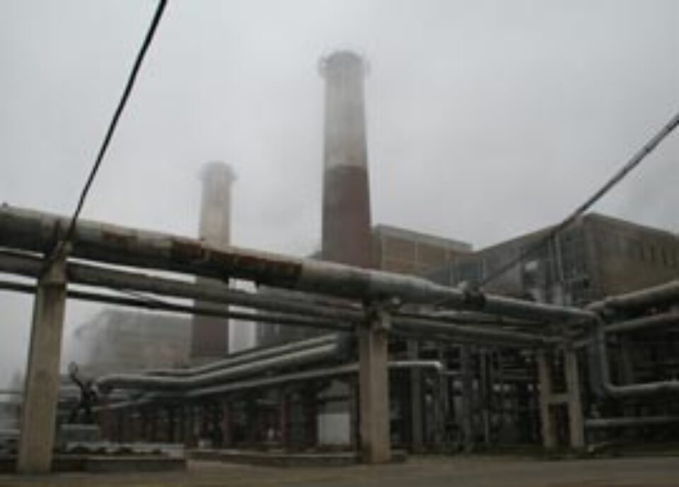 SC AMBRO SA prezintă realitatea