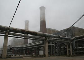 SC AMBRO SA prezintă realitatea