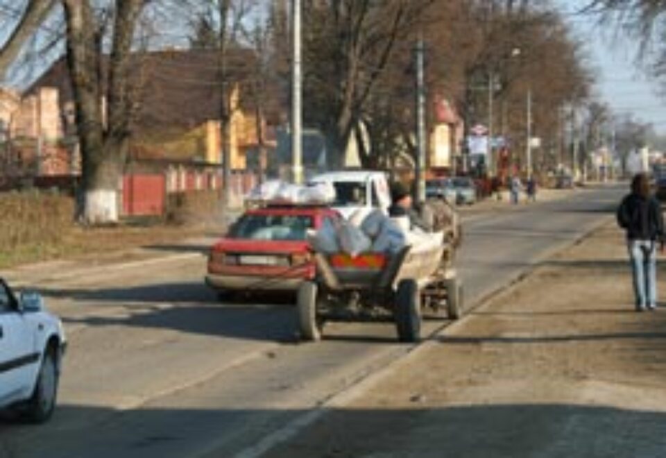 Amenzi pentru căruțașii prinși pe drumurile europene și naționale Amenzi pentru căruțașii prinși pe drumurile europene și naționale