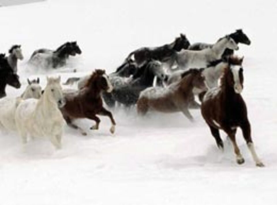 Din presa de altadata Din presa de altadata