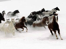 Din presa de altadata