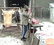 Sacrificarea porcului de Ignat