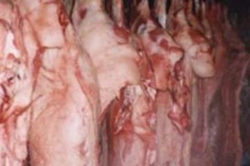 Rusia va continua să importe produse de origine animală din Uniunea Europeană