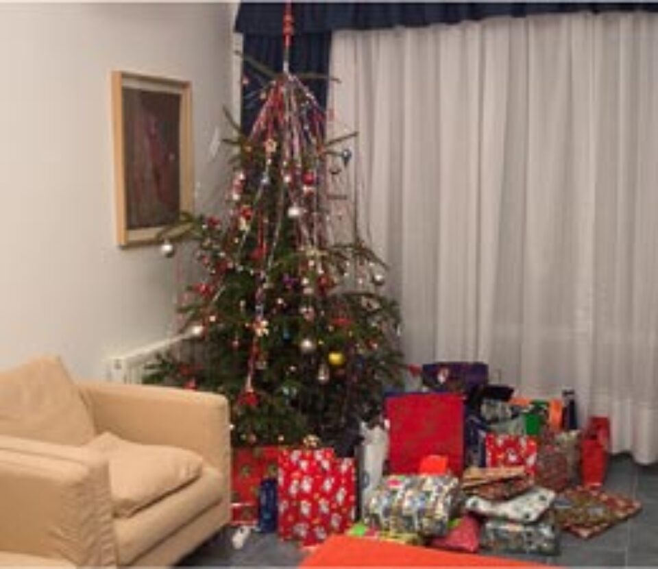 Datini și obiceiuri de Crăciun