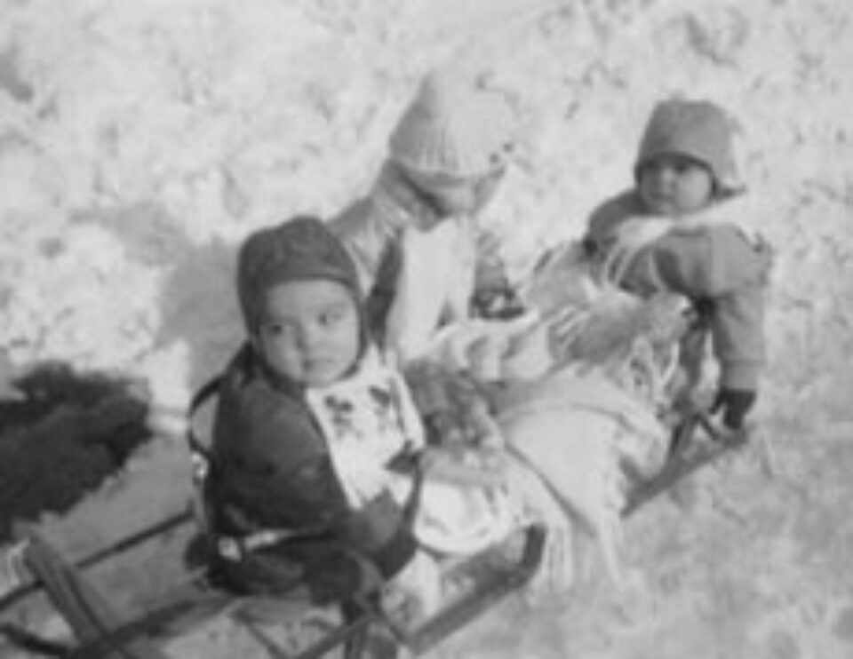 La săniuș La săniuș