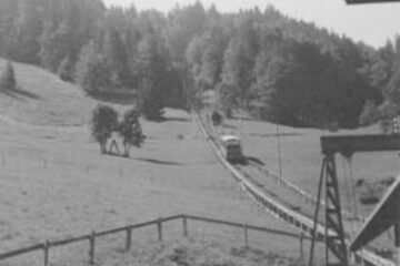 Din presa de altadata