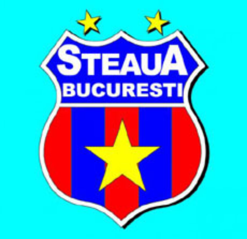 Jumătate de milion de lei din conturile Stelei, blocate de instanță