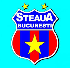 Jumătate de milion de lei din conturile Stelei, blocate de instanță