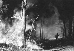 Din presa de altadata