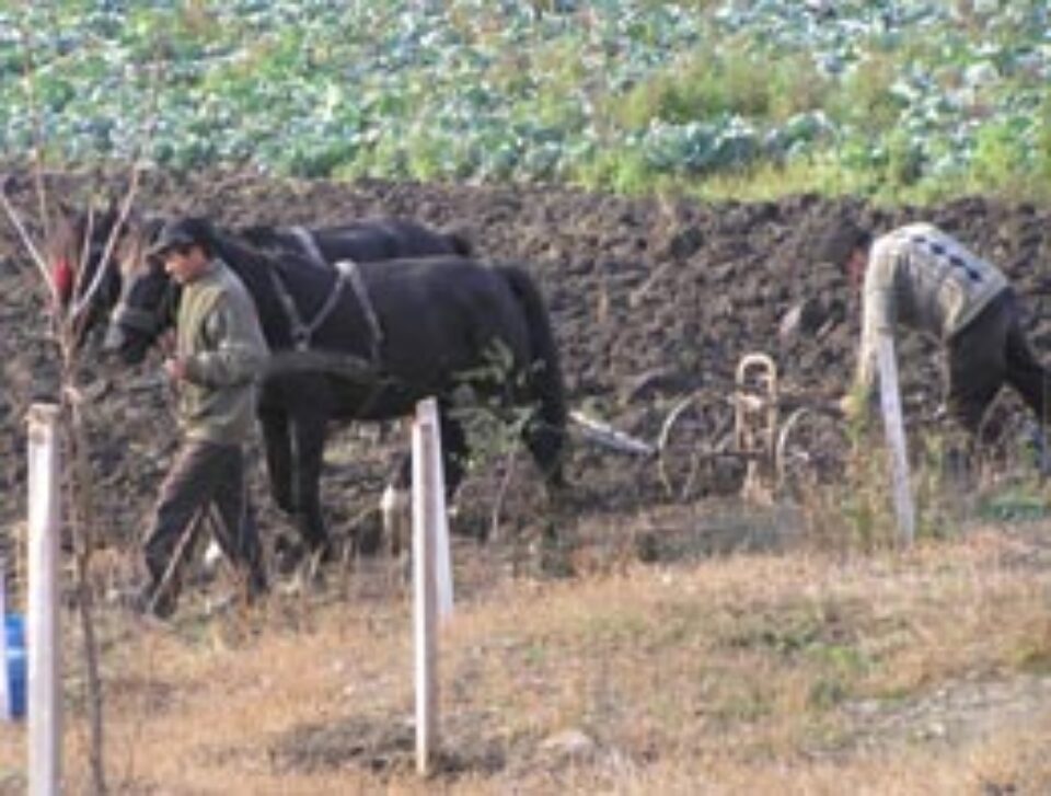 Primii bani de la UE destinați agriculturii vin la sfârșitul anului sau în 2008 Primii bani de la UE destinați agriculturii vin la sfârșitul anului sau în 2008