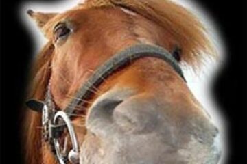 Din presa de altadata