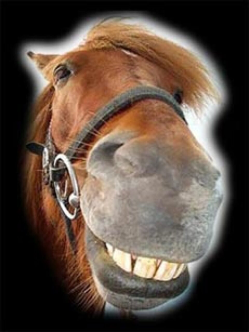 Din presa de altadata