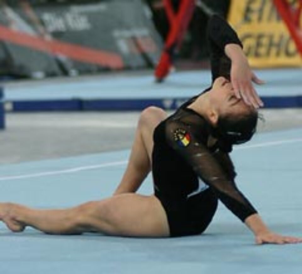 Ponor dă reprezentații în Canada